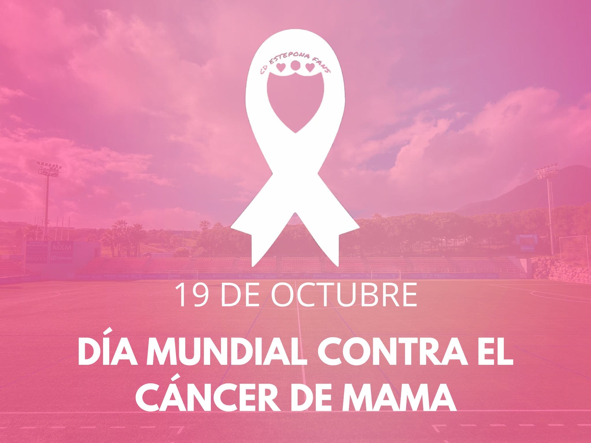 Imagen de la noticia: 19 de octubre, Día Mundial contra el Cáncer de Mama: una jornada para recordar, concienciar y apoyar